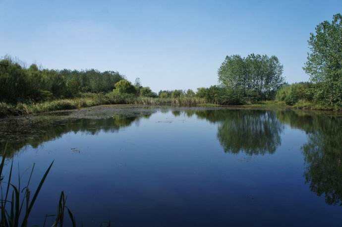 水質(zhì)檢測機構 水質(zhì)檢測機構