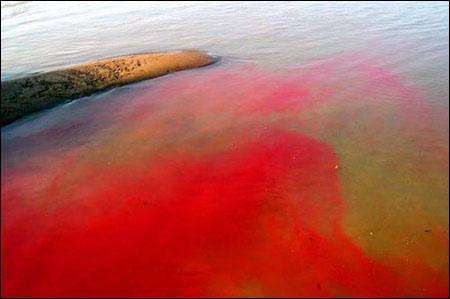 印染廢水檢測(cè) 印染廢水檢測(cè)