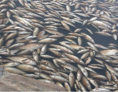 深圳水質(zhì)檢測(cè) 深圳水質(zhì)檢測(cè)