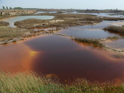 深圳水質(zhì)檢測 深圳水質(zhì)檢測