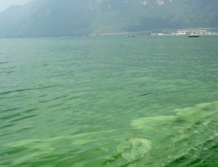 深圳水質(zhì)檢測(cè)機(jī)構(gòu) 深圳水質(zhì)檢測(cè)機(jī)構(gòu)