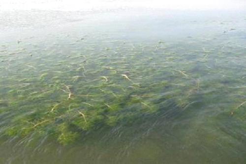 深圳水質(zhì)檢測機構(gòu) 深圳水質(zhì)檢測機構(gòu)